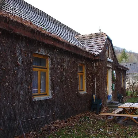Casa de hóspedes Vadszőlő Szálló és étterem