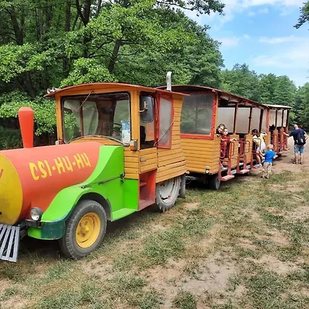 Vadszőlő Szálló és étterem Casa de hóspedes 3*